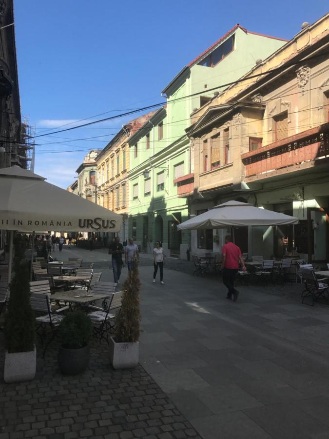 Savoya Nr2 Loft Studio Old City Center Self Check-In Workspace Timişoara Exterior foto