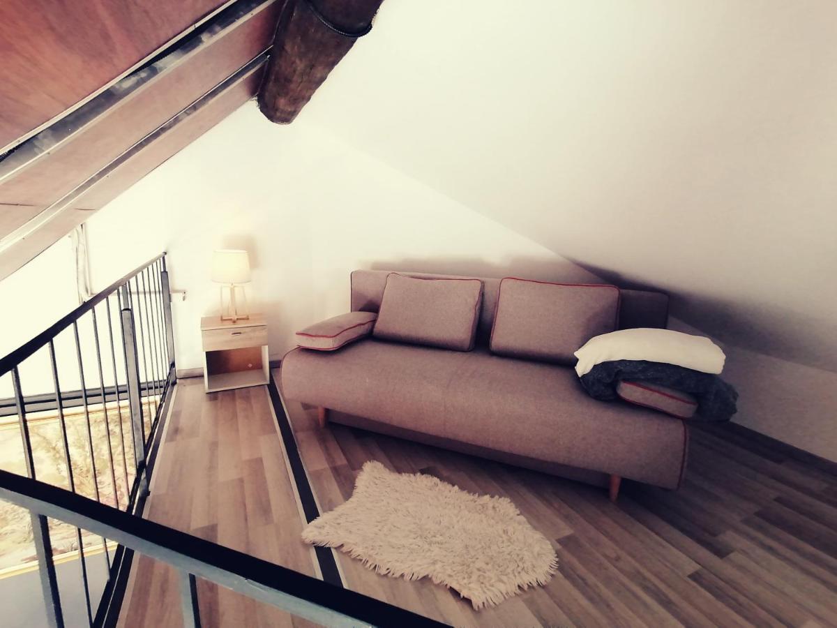 Savoya Nr2 Loft Studio Old City Center Self Check-In Workspace Timişoara Exterior foto
