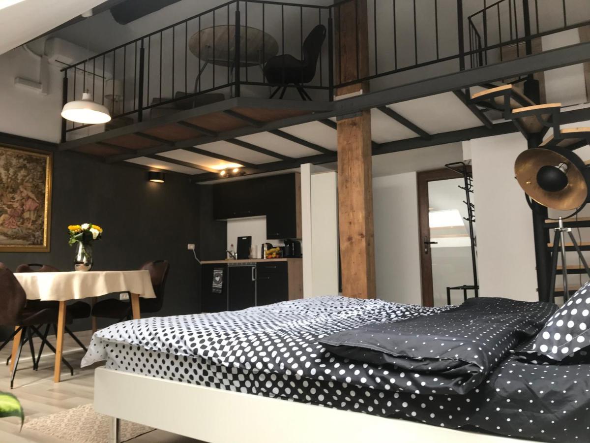 Savoya Nr2 Loft Studio Old City Center Self Check-In Workspace Timişoara Exterior foto