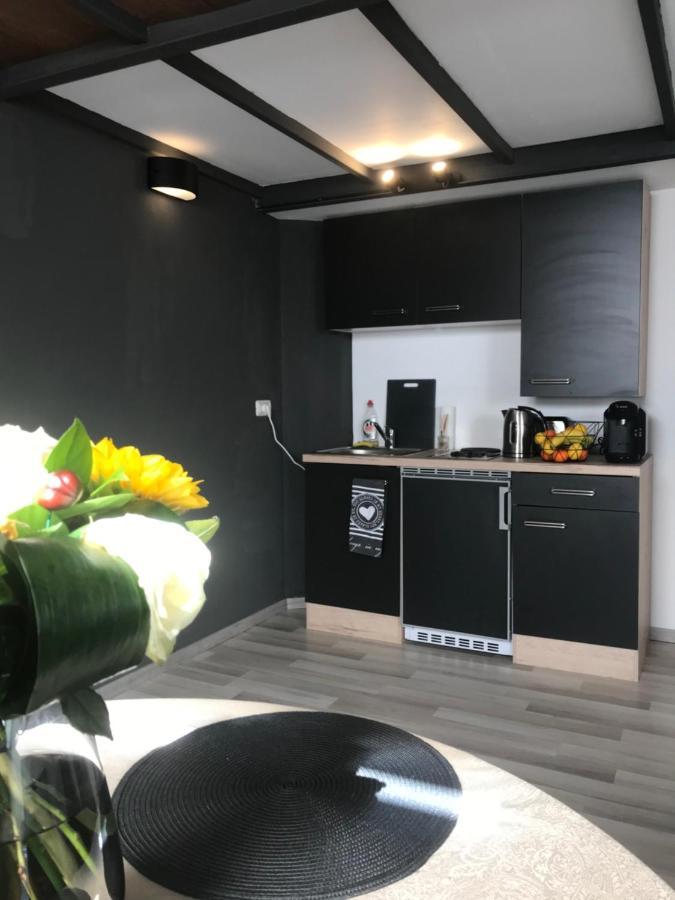 Savoya Nr2 Loft Studio Old City Center Self Check-In Workspace Timişoara Exterior foto