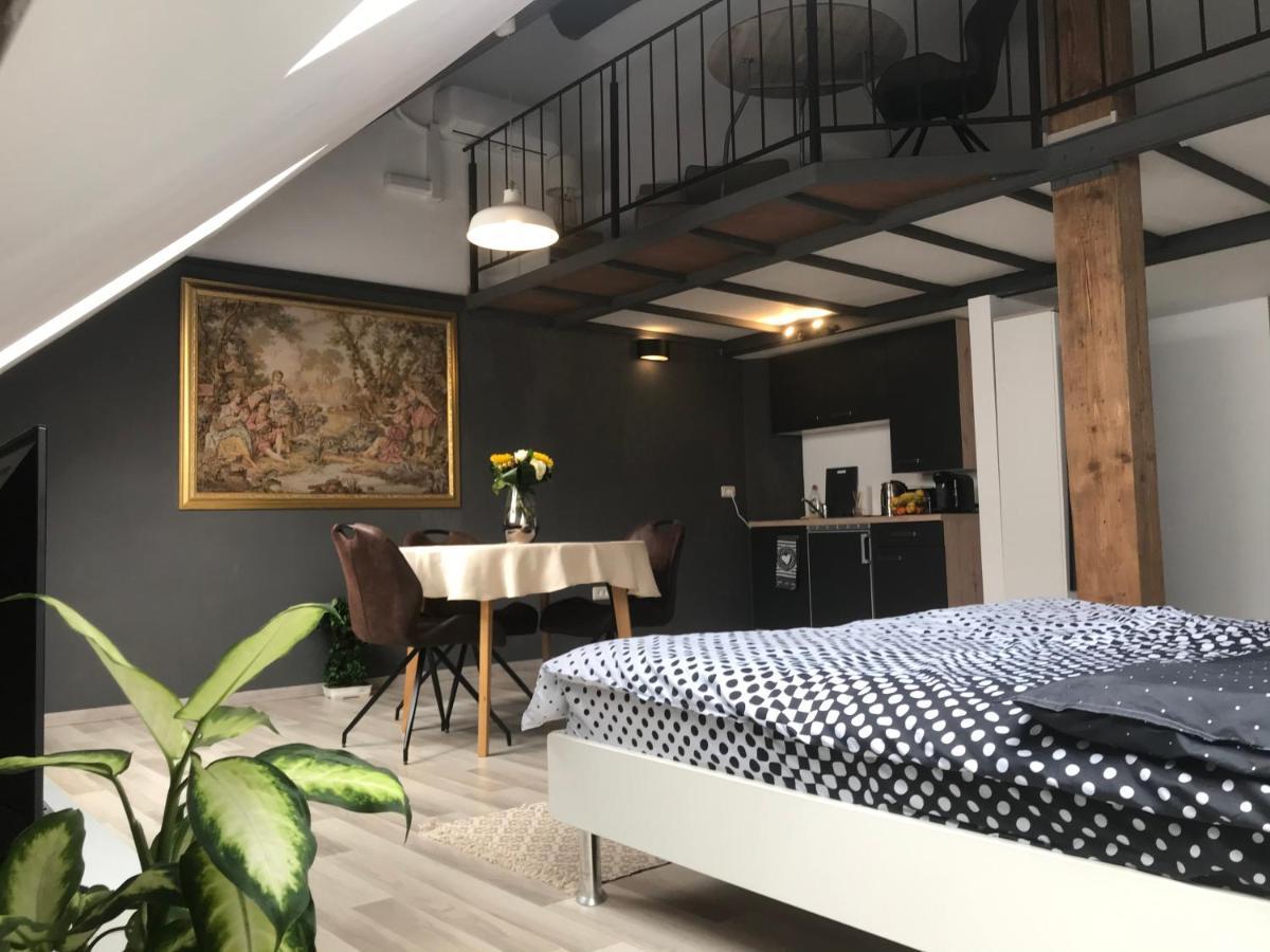Savoya Nr2 Loft Studio Old City Center Self Check-In Workspace Timişoara Exterior foto